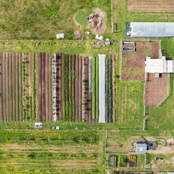 Aerial view of a farm with vegetable crop rows, greenhouse, and fenced plots on green farmland.